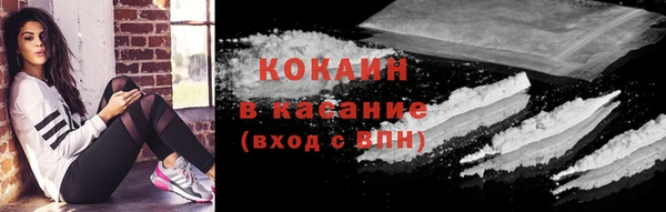 твердый Алексин