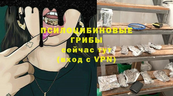 эйфоретик Алзамай
