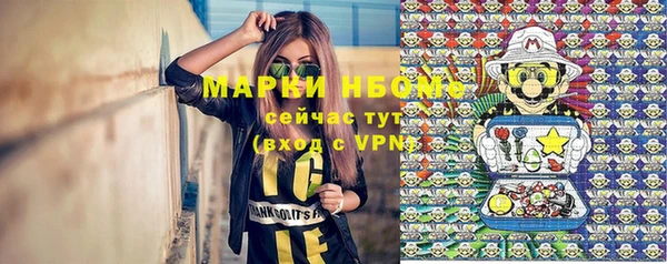 эйфоретик Алзамай