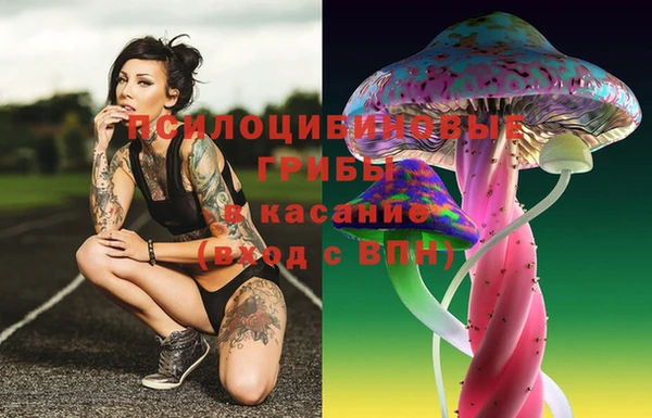 мяу мяу мука Алексеевка