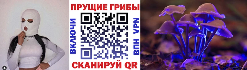 хочу   Данков  Галлюциногенные грибы Psilocybe 